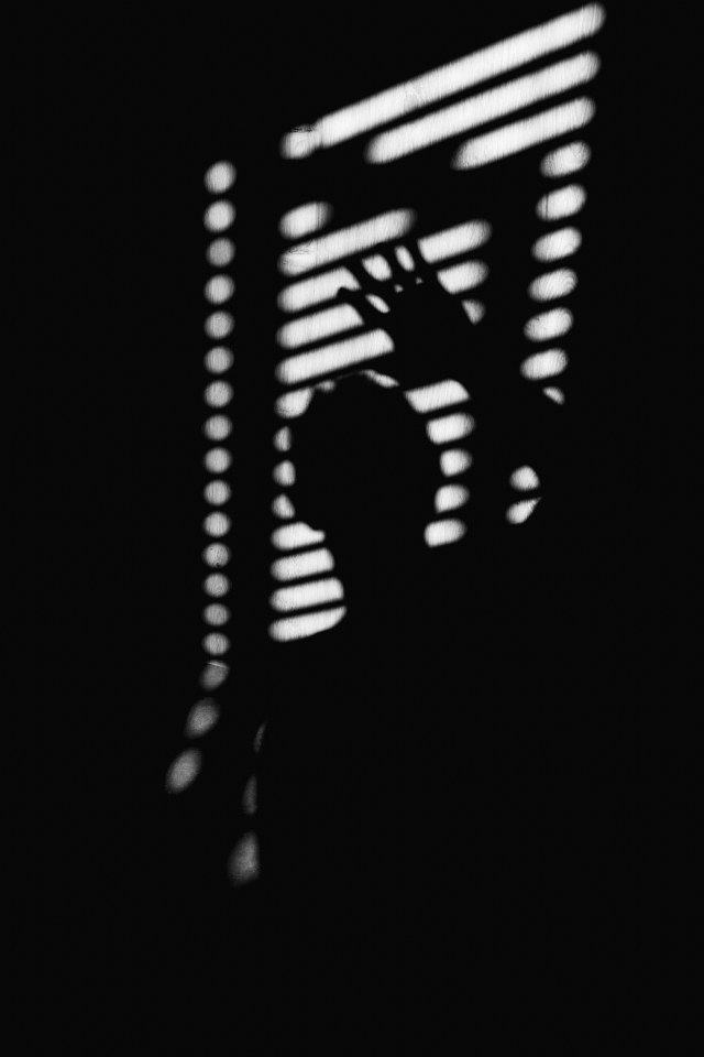 Shadow of a figure in black and white with their hand reaching up, marked by venetian blinds.