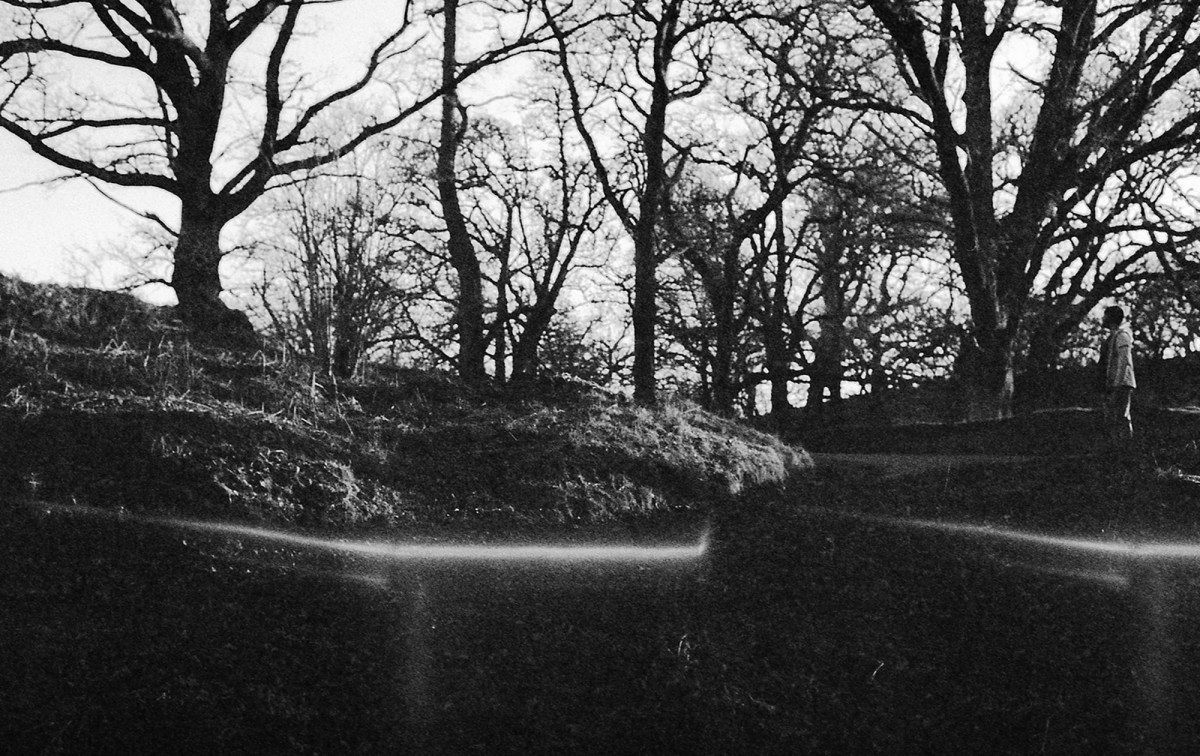 Black and white image of trees without leaves, with a figure standing to the right looking across.